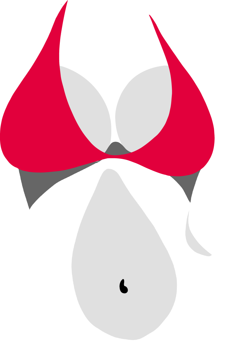 Brustverschönerung