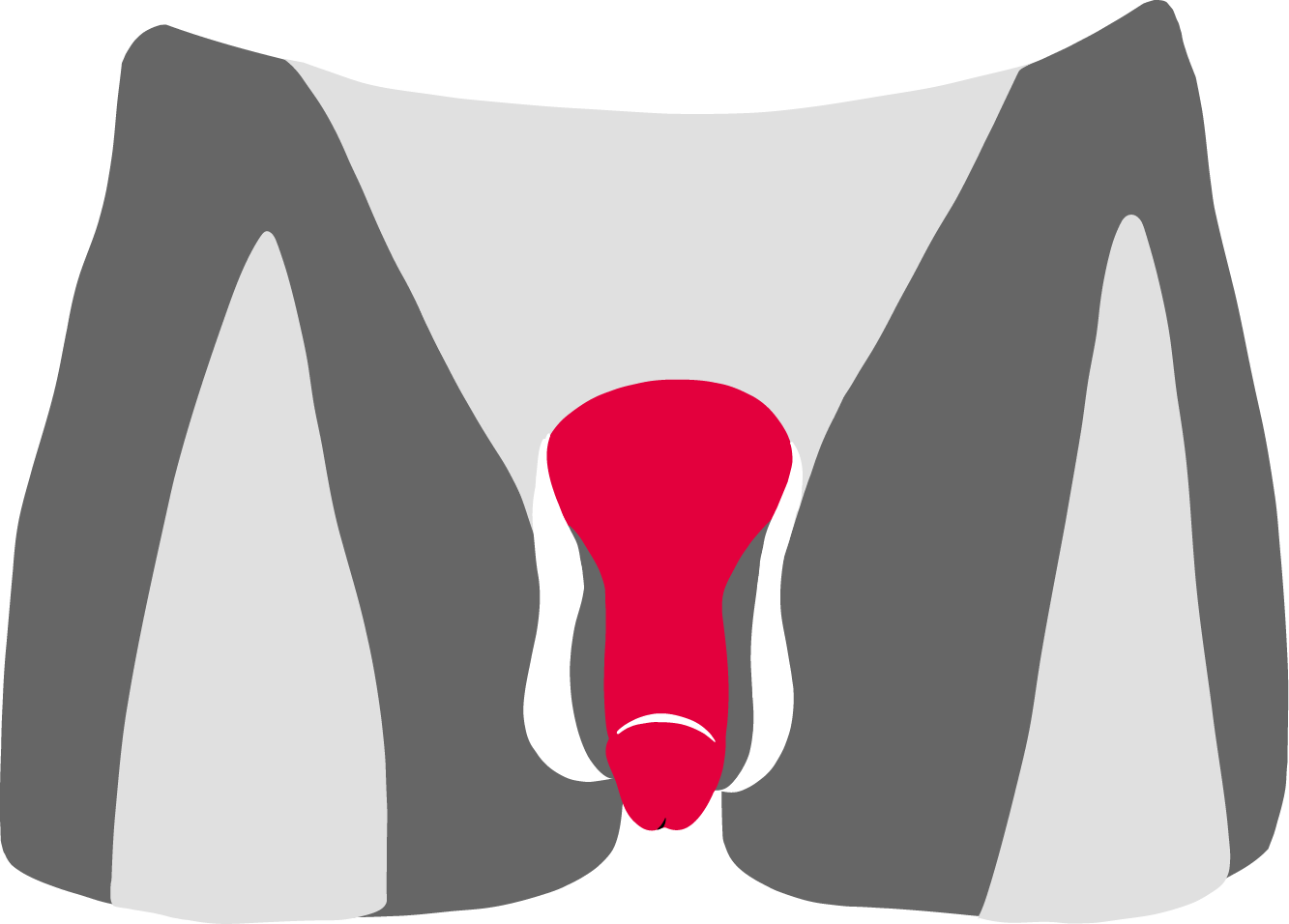 Penis-Vergrößerung